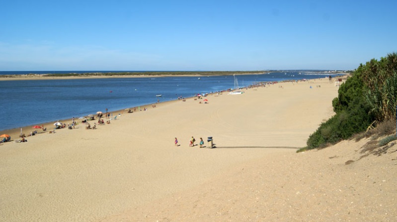 Nuevo Portil